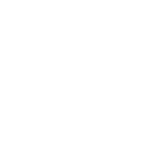 Open AI